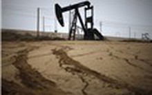 Giá dầu đạt ngưỡng cao nhất trong vòng 2,5 năm