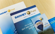 ND2 phá đỉnh, BVLIFE rót hơn 80 tỷ đồng mua gần 3,8 triệu cổ phiếu