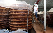 Thông tin nước mắm nhiễm asen: Yêu cầu báo cáo kiểm điểm Chủ tịch Vinastas