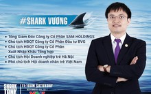 VietinBank chào bán khoản nợ 74 tỷ của công ty do “Shark” Vương làm Chủ tịch