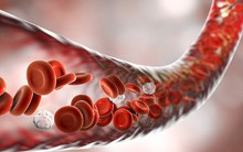 Tế bào máu của những bệnh nhân ung thư sống sót thần kì có thể được truyền cho bệnh nhân khác với hi vọng giúp họ "khỏi bệnh"