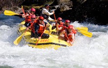 Ban lãnh đạo doanh nghiệp và câu hỏi muôn thủa “các anh có bắt tay cùng đội lái không?”