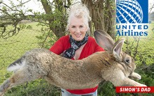 Thêm bê bối thỏ chết , United Airlines đưa ra 10 thay đổi giúp cải thiện hình ảnh