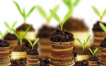 Điểm mặt những doanh nghiệp có tỷ suất lãi gộp cao nhất TTCK Việt Nam