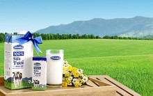 Hơn 3.300 tỷ đồng cổ phiếu Vinamilk trao tay trong vòng 1 phút, tỷ phú Thái ra tay?