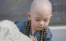 Mang đá đi bán, một lời dặn của sư thầy giúp tiểu hòa thượng có được thứ quý giá nhất đời