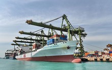 Lối đi nào cho "TPP không có Mỹ"?