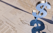 Không mặn mà mua cổ phiếu phát hành thêm, hàng loạt lãnh đạo Năm Bảy Bảy muốn chuyển nhượng quyền mua