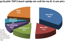 Bán hàng tôn mạ kim loại, sơn phủ màu và thép cuộn cán nguội diễn biến trái chiều