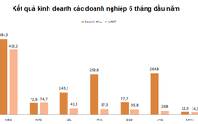 Nửa đầu năm, các doanh nghiệp cho thuê KCN tăng trưởng phần lớn nhờ doanh thu tài chính