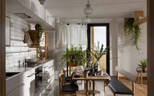 Căn hộ đẹp như mơ với cây xanh và nội thất gỗ