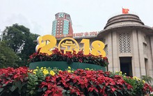 Đường Hà Nội trang hoàng rực rỡ trước thềm năm mới
