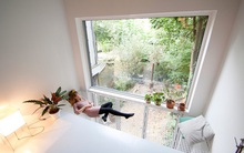 Mê mẩn với những thiết kê trần nhà hình cây nở hoa tuyệt đẹp