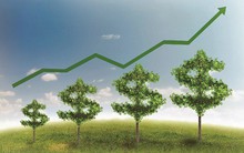 Lịch sự kiện và tin vắn chứng khoán ngày 25/12