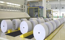 LNST 6 tháng đầu năm 2017 của Hapaco bất ngờ giảm một nửa so với cùng kỳ