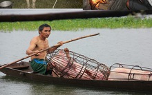 Video: Người dân chèo thuyền đưa lợn lên cao, đốt lửa sưởi ấm gà trong lũ