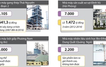 Bộ Công Thương tìm cách giảm thiệt hại tại các dự án lỗ nghìn tỷ