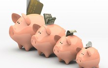 Cổ phiếu rơi từ 30.000 còn 4.000 đồng, Halcom (HID) lên kế hoạch lợi nhuận năm 2017 đạt 33 tỷ đồng