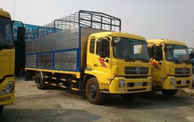 HHS: Tạm thời chưa mua cổ phiếu quỹ, ông Đỗ Hữu Hạ đăng ký mua vào cổ phiếu