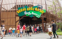 Vườn thú Safari đầu tiên ở Hà Nội khai trương, ông chủ Bảo Sơn tuyên bố chi thêm 150 triệu USD xây 'Lotte World của Việt Nam'