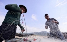 Tổng sản lượng thủy sản tăng 3%