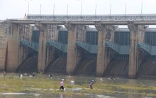 Thủy điện Trị An ngưng xả tràn, hàng trăm người ào ạt bắt cá