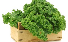 Chỉ trong 1 tháng, cổ phiếu của công ty cung cấp rau cải xoăn "thần kỳ" đã tăng gấp đôi