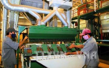 Tăng tỷ lệ cà phê nhân chế biến sâu