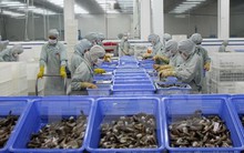 Hỗ trợ các doanh nghiệp nhỏ và vừa với tổng số tiền 560 tỷ đồng