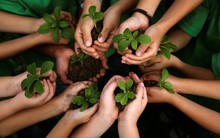 Thế giới Di động "thưởng" nghìn tỷ để giữ lòng trung thành của nhân viên, nhưng với họ, tiền không phải là tất cả