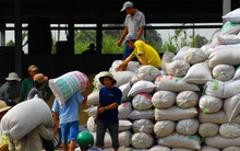 Điều kiện kinh doanh "giết" doanh nghiệp