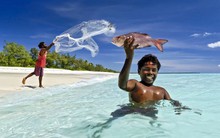 Cầu bắt đáy tăng vọt, HNG khớp lệnh hơn 20 triệu cổ phiếu trong phiên sáng sau thông tin HAGL đã hoán đổi cổ phiếu với Temasek