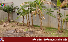 Kết luận vụ bán đất trái thẩm quyền tại Hưng Yên