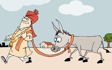 Câu chuyện người thương lái và con Lừa: Bạn có đầu tư chứng khoán như "con Lừa"?