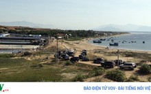 Thành lập Ban công tác xử lý dự án điện hạt nhân Ninh Thuận