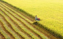 Doanh nghiệp du lịch, nông nghiệp, kinh tế số chưa hết "khổ" vì rào cản chính sách