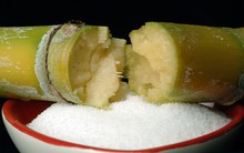 6 yếu tố có thể đảo ngược xu hướng giá đường giảm