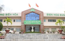 Trước khi về một nhà với Thành Thành Công, Đường Biên Hòa báo lãi tăng mạnh