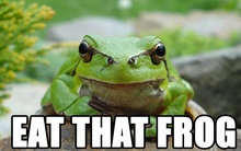 Chuyện cuối tuần: Nguyên tắc "chỉ trăm bước nữa là tới đích" hay "làm thế nào để ăn thịt một con voi"