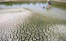 PAPI 2016: Người dân không muốn vì kinh tế mà hy sinh môi trường