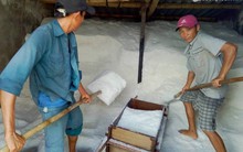 Muối Nghệ An giá tăng kỷ lục