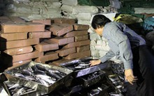 Chậm xử lý hải sản tồn kho, nhiều tiểu thương kêu cứu