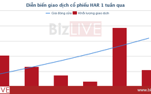[Cổ phiếu nổi bật tuần] HAR tăng 86% trong 10 phiên, trào lưu ăn theo hay chuyển mình đi lên?