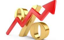 Giống cây trồng Trung Ương lãi kỷ lục từ khi niêm yết, EPS đạt 11.492 đồng