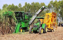 Thuế về 0%, đường Việt sợ bị hạ đo ván trên sân nhà