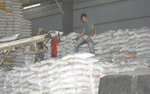 Việt Nam trúng gói thầu xuất khẩu gần 200.000 tấn gạo