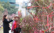 Hà Nội sẽ rung chuông thay bắn pháo hoa đêm giao thừa