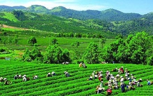 GTNfoods: Điển hình Start up thành công trong lĩnh vực nông nghiệp sạch