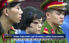 Khi tội “chiếm đoạt” ẩn mình trong tội “cố ý làm trái”?