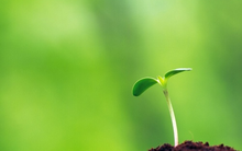 Bài học đau đớn không người đàn ông nào muốn thừa nhận: Ai càng hiểu thấu càng thành công